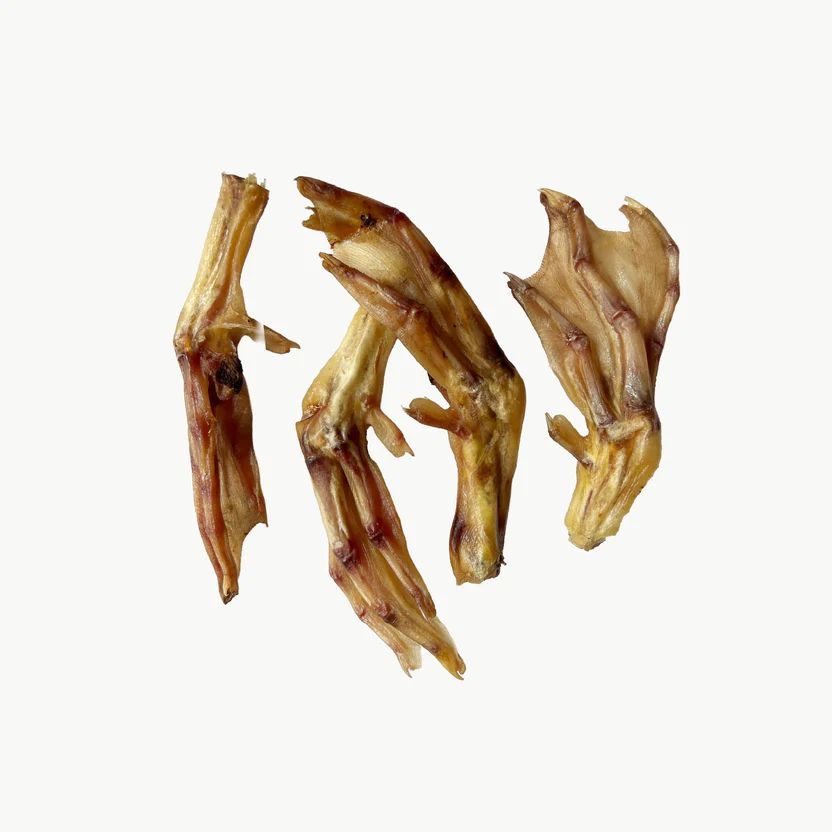hunter-spirit-patas-pato-snack-perro-hobbitalf-25
